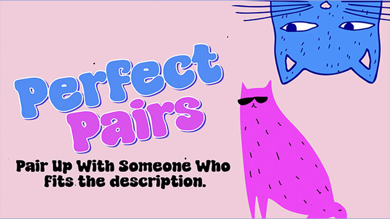 Perfect Pairs
